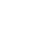 A DIGITAL REPRESENTATION OF THE PHYSICAL AND FUNCTIONAL